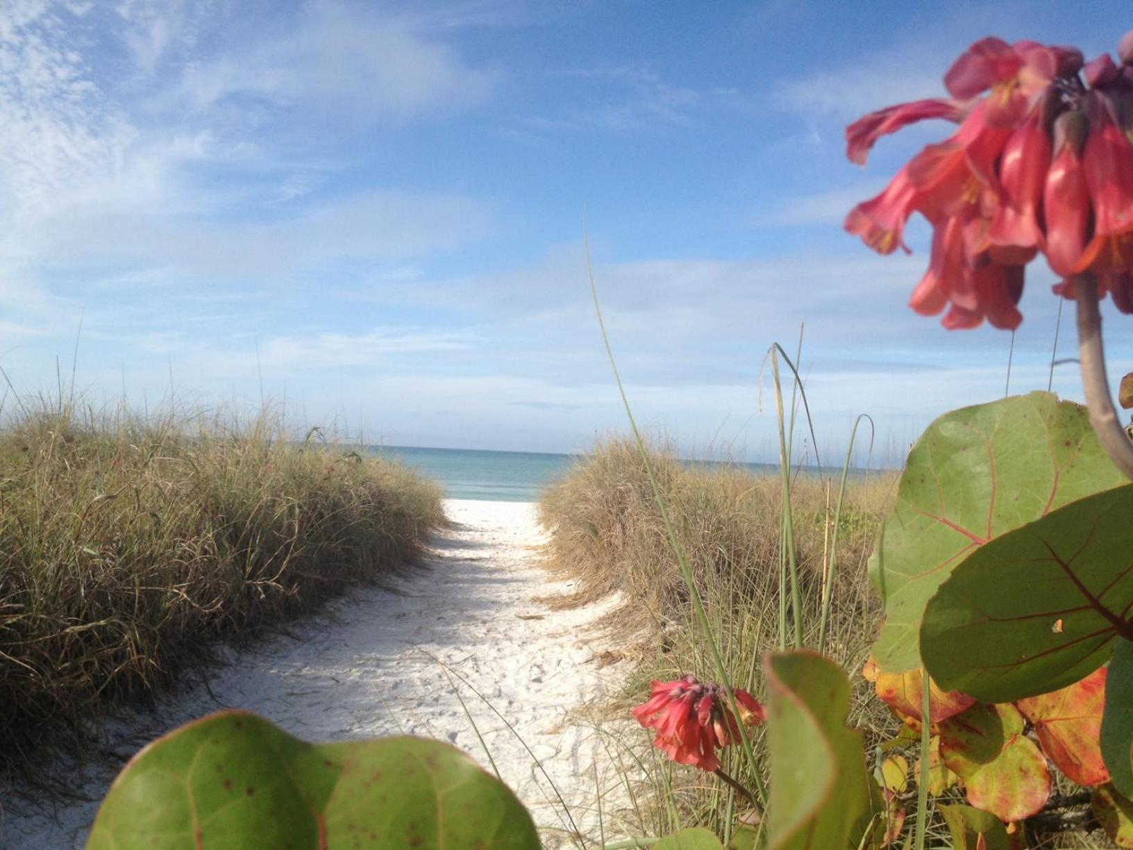 Siesta Key Inn ภายนอก รูปภาพ